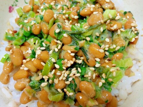 納豆の食べ方-野沢菜＆高菜ちりめん♪